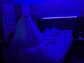 Is that a York ghost in my bed?! 